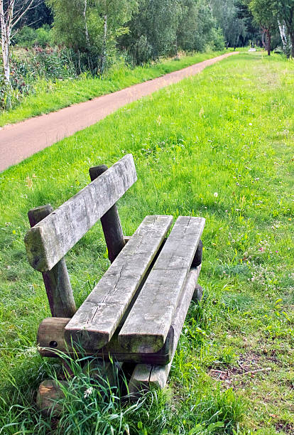 istock Hiking trail in the deciduous forest with wooden bench 484397090