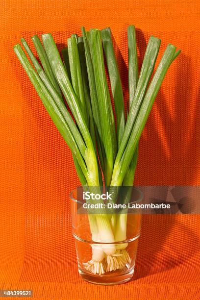 Verde Cebollas En Un Vaso Sobre Fondo Colorido Foto de stock y más banco de imágenes de Alimento - Alimento, Cebolla, Cebolla de primavera