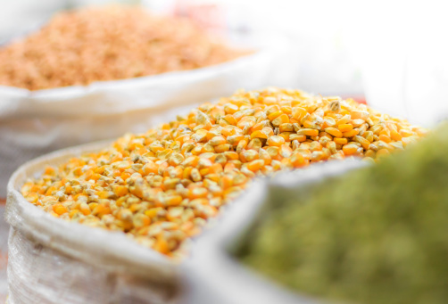 Corn seeds and other grains in bags on oriental market isolated on white