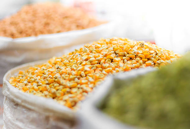 Corn seeds and other grains in bags on oriental market stock photo