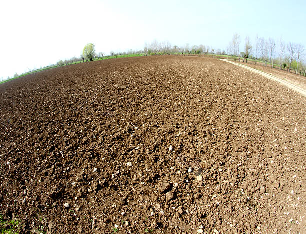 istock Brown field land plough in open countryside 484399617