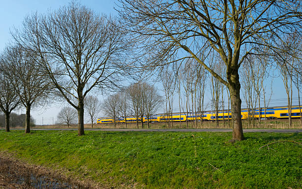 istock Train riding through the countryside in spring 484399823
