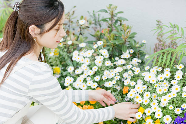 Woman taking care of flowers stock photo