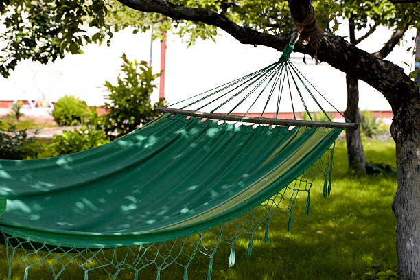 istock Hammock in the summer garden 484403008