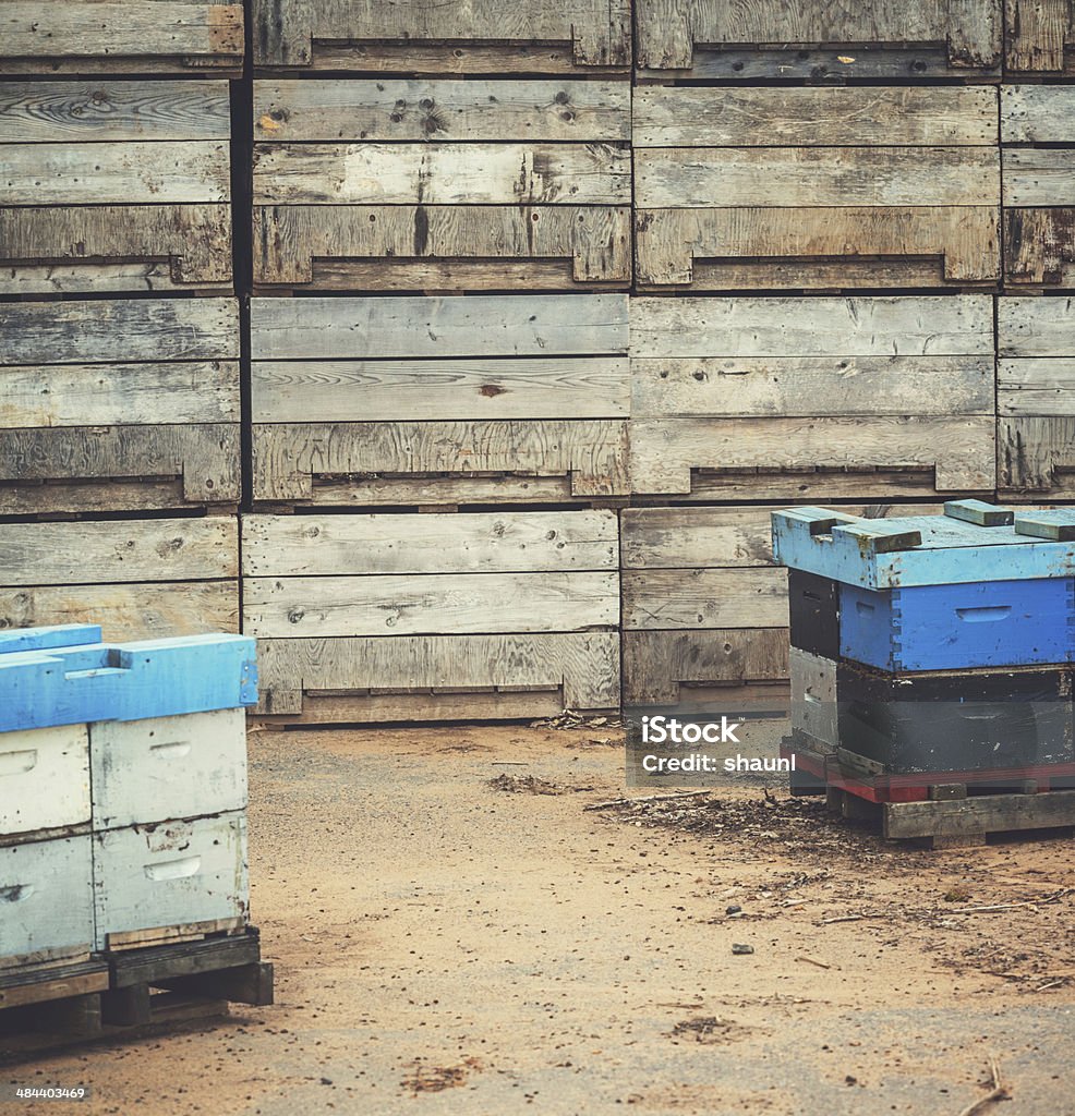 Abeja cajas en Orchard - Foto de stock de Abeja libre de derechos