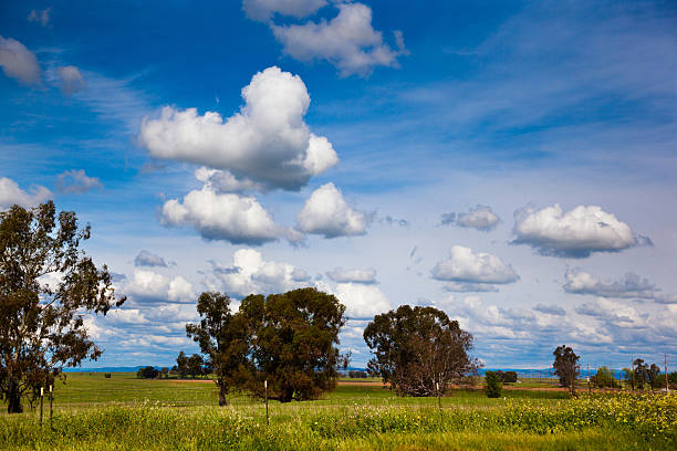 istock Northern California Spring with Clouds 484403481