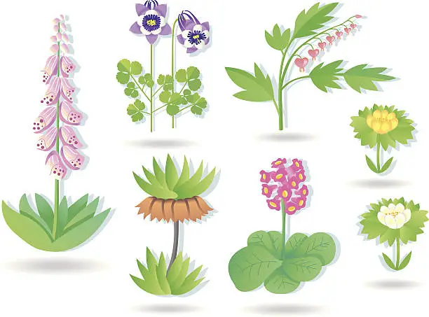 Vector illustration of Gardenplants Collection