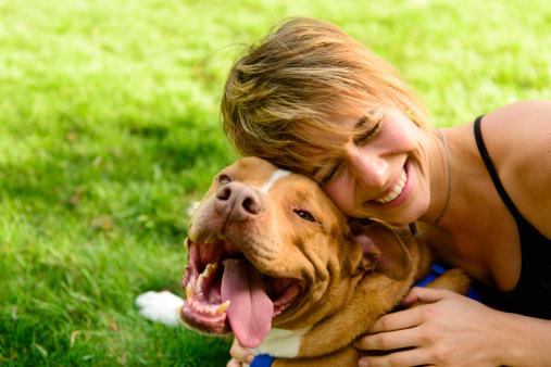 Happy female playing with her dog, a pit bull.