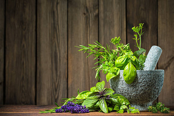 pilão com ervas aromáticas - mint condition imagens e fotografias de stock