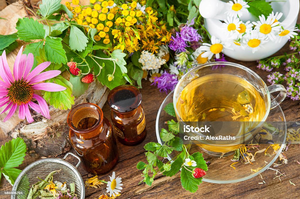 Herbal tea Cup of herbal tea with wild flowers and various herbs Herbal Medicine Stock Photo