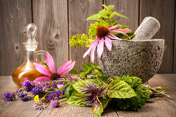 alternative medizin - alternative medicine mortar and pestle herbal medicine herb stock-fotos und bilder