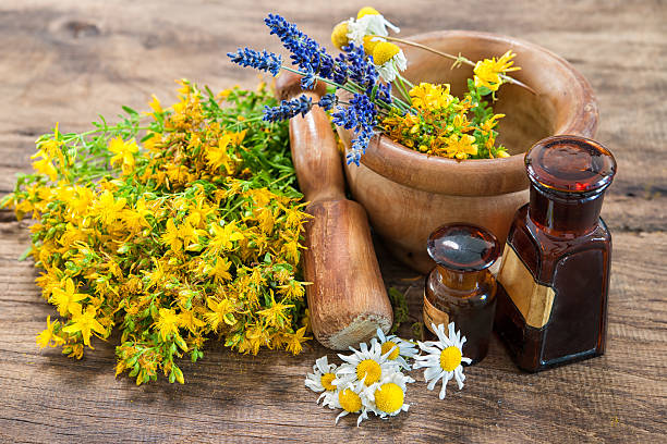 istock Alternative medicine, Herbal medicine 484408784