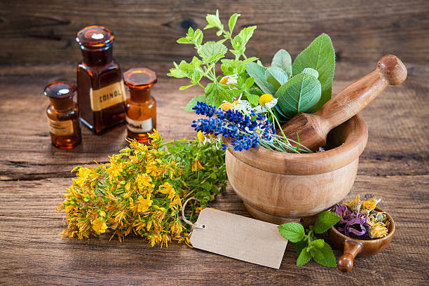 medicina alternativa, medicamentos a base de hierbas - mortar and pestle lavender chamomile herb fotografías e imágenes de stock