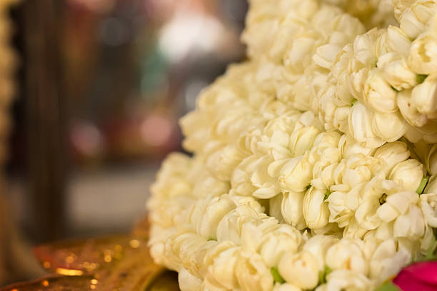 istock Jasmine garland for worship 484411918
