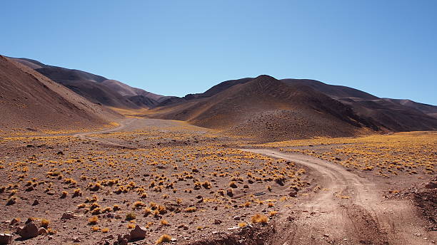 istock Ravish of the yeso 484420494