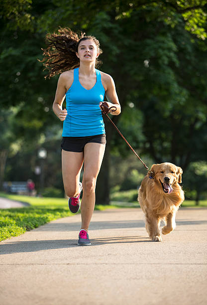 istock Jogger and Golden Retriever Running on a Paved Trail. 484423068