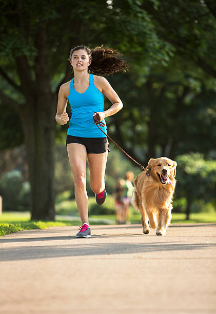 istock Jogger and Golden Retriever Running on a Paved Trail. 484423092
