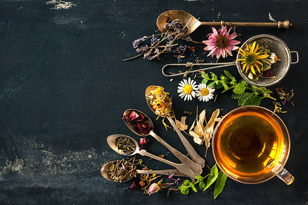 허브 티 - alternative medicine herbal medicine echinacea herb 뉴스 사진 이미지