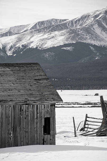 istock Abandoned Barn and Mount Elbert in Winter 484424288