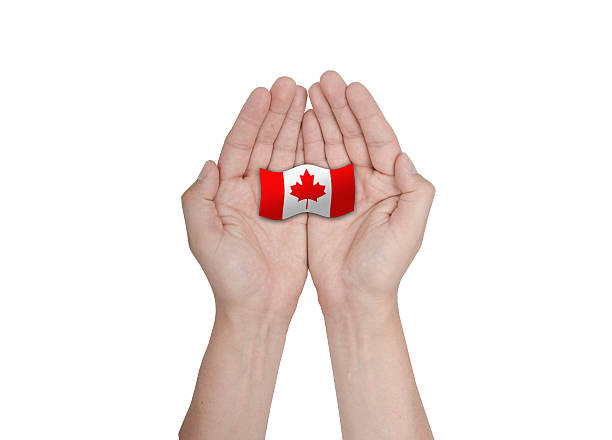 istock Hands protecting the national flag of Canada 484424404