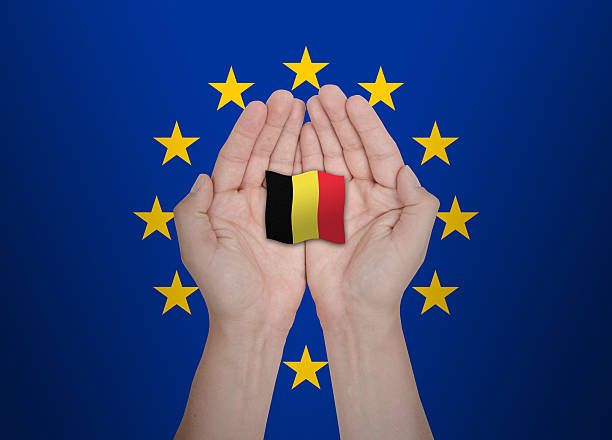 manos de la unión europea la protección de la bandera de la ue bélgica - belgium belgian flag flag shield fotografías e imágenes de stock