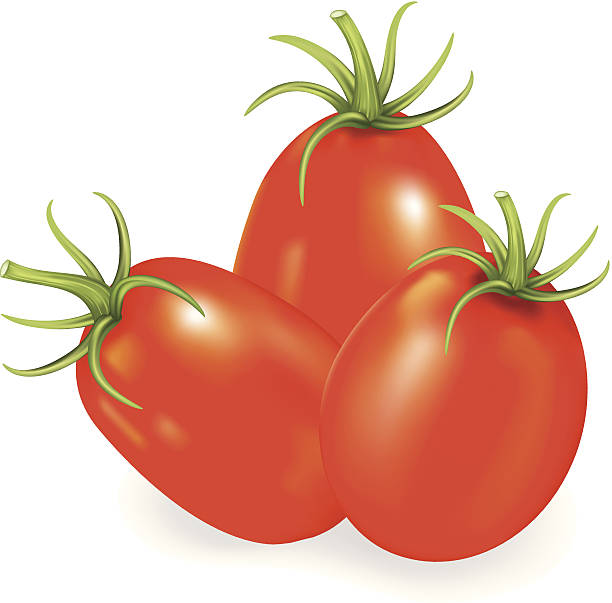 czerwony roma pomidory - plum tomato obrazy stock illustrations