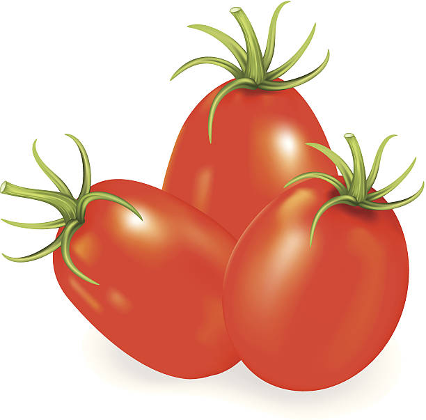 Red Roma Tomatoes Stock Illustration - Download Image Now - Plum Tomato,  Illustration, Tomato - iStock