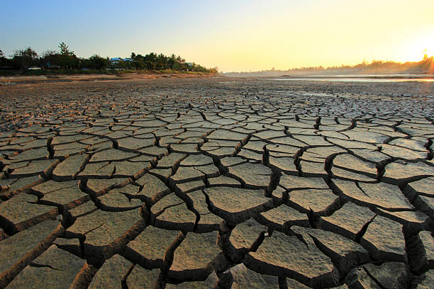 Barren landscape global warming concept drought stock pictures, royalty-free photos & images