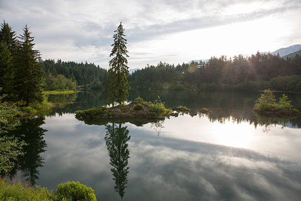 istock Reflection of forest island on lake surface, mountains 484428318