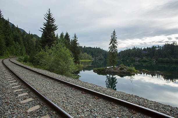 istock View past train tracks to lake & forest island 484428332