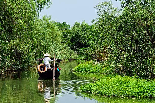 istock Hangzhou xixi wetland landscape 484430637