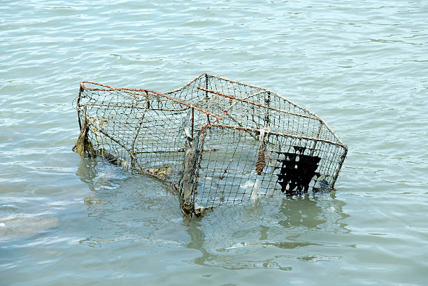 Lobster traps stacked up on a dock