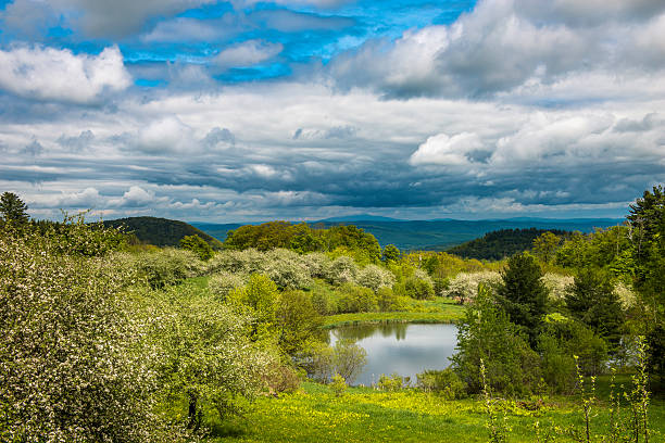 View to the east from a hill in West Brattleboro, Vermont,  In the foreground there are lots of trees blooming in the spring, a small pond.  In the distance the hills/mountains of New Hampshire including Mount Monadnock.  