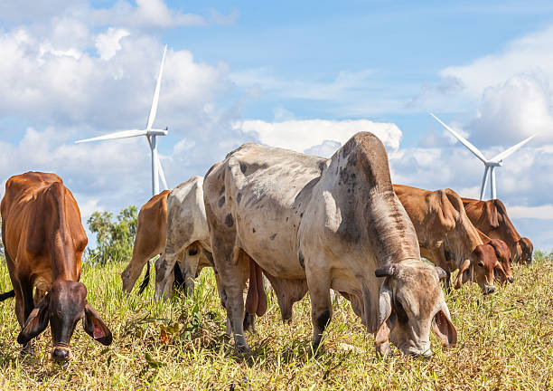 Imagem: Istockphoto.com Imagem: Istockphoto.com