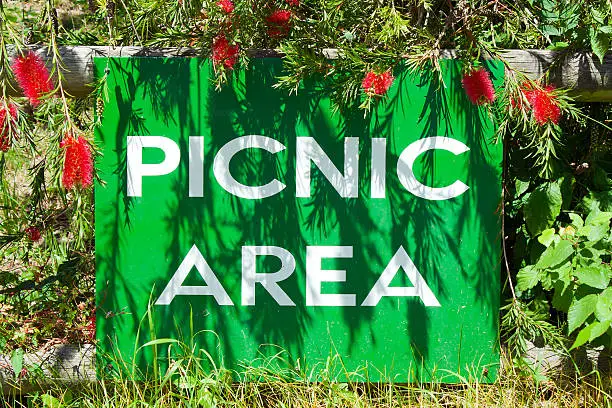 Picnic area sign in a woodland setting with plants casting shadows