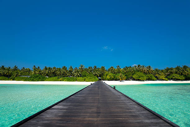 istock Wooden pier with blue sea and sky background 484441412