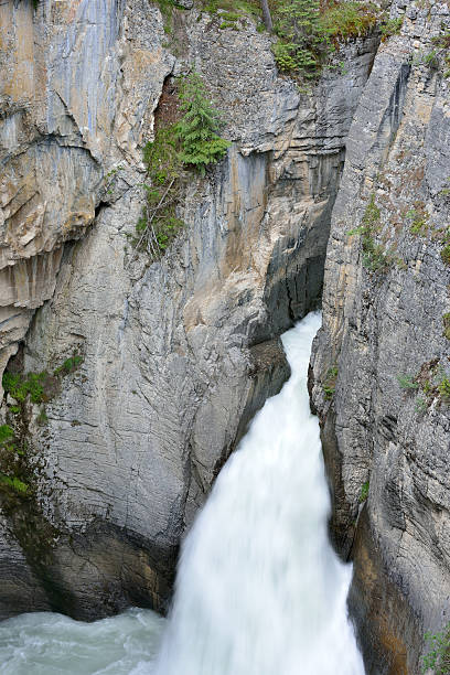 istock Narrow Gorge at Sunwapta Falls 484445210