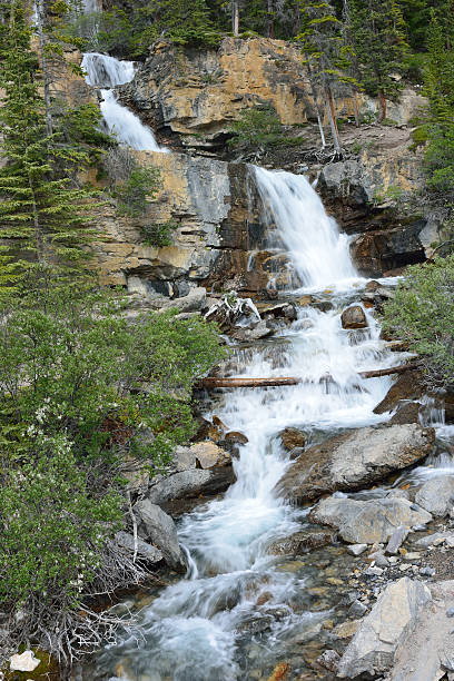 cataratas tangle por estrada icefields - tangle falls imagens e fotografias de stock