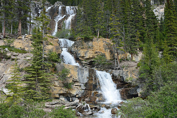 tangle falls, parque nacional de jasper - tangle falls - fotografias e filmes do acervo