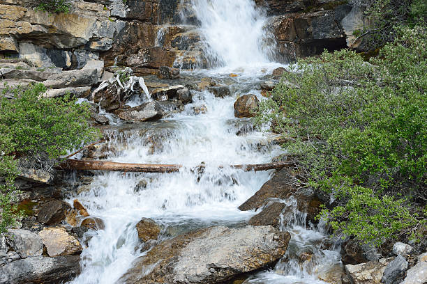 tangle falls, parque nacional de jasper - tangle falls - fotografias e filmes do acervo