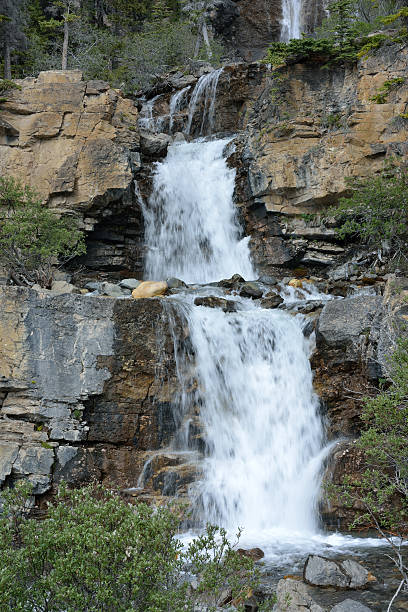 cataratas tangle no parque nacional de jasper - tangle falls imagens e fotografias de stock