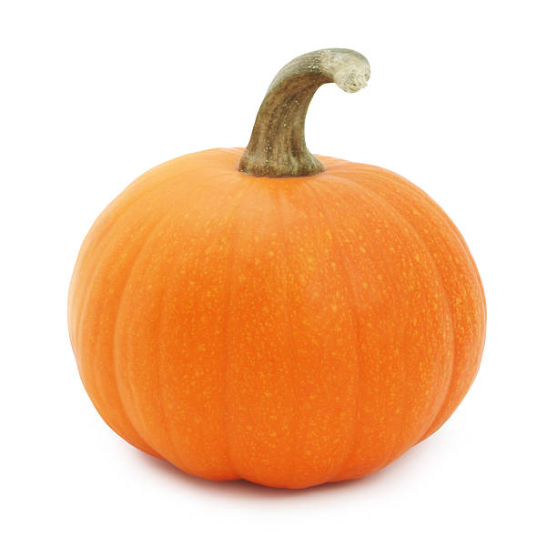 dynia miniaturowa - miniature pumpkin zdjęcia i obrazy z banku zdjęć