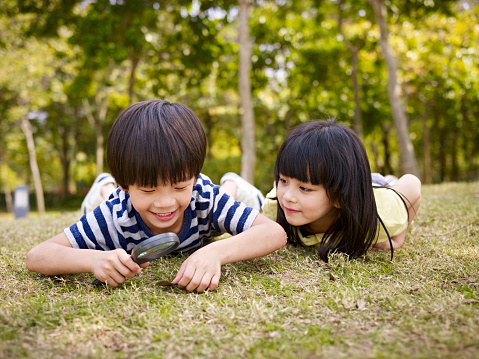 little asian boy and girl using magnifier to study grass and leaves in a park.