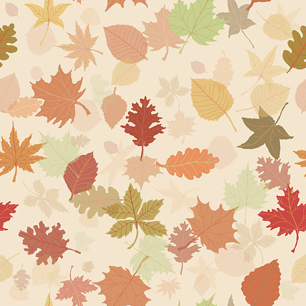 ilustrações de stock, clip art, desenhos animados e ícones de outono padrão sem costura leafs - thanksgiving backgrounds autumn falling