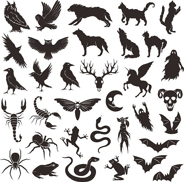 illustrations, cliparts, dessins animés et icônes de collection halloween caractères. - animal skull