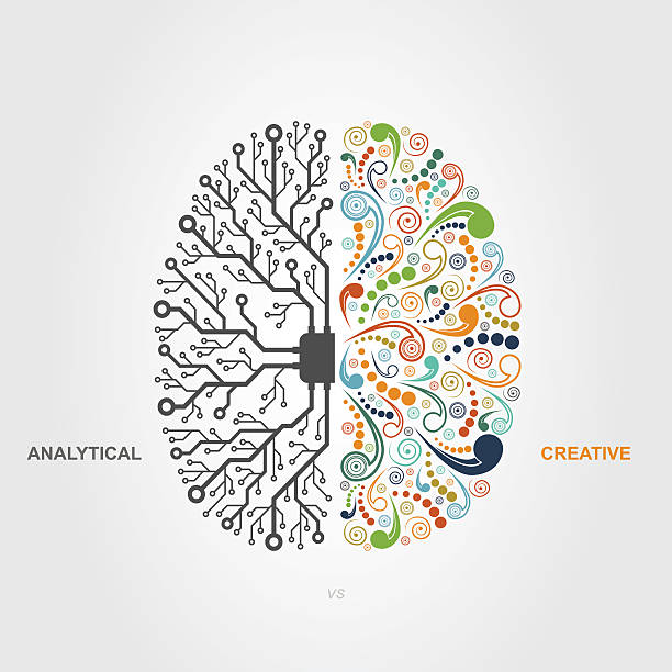 brain concept left and right brain functions concept, analytical vs creativity brain thinking intelligence inspiration stock illustrations