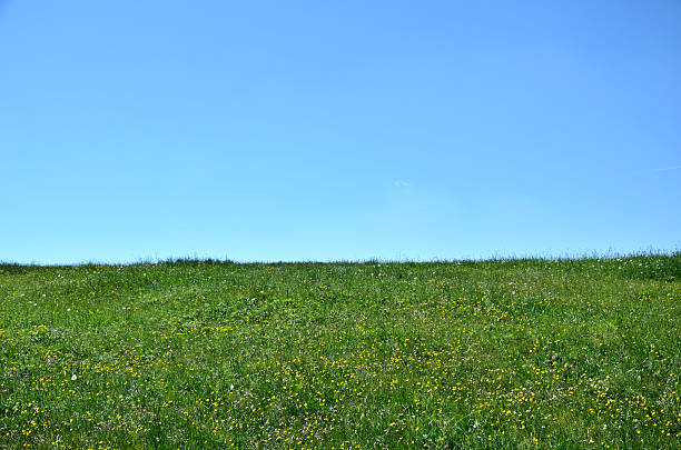 istock Horizon of meadow and sky 484466064