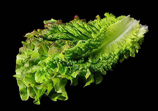 istock Curly lettuce salad on black 484466354