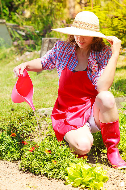 istock woman watering plants in garden 484467270