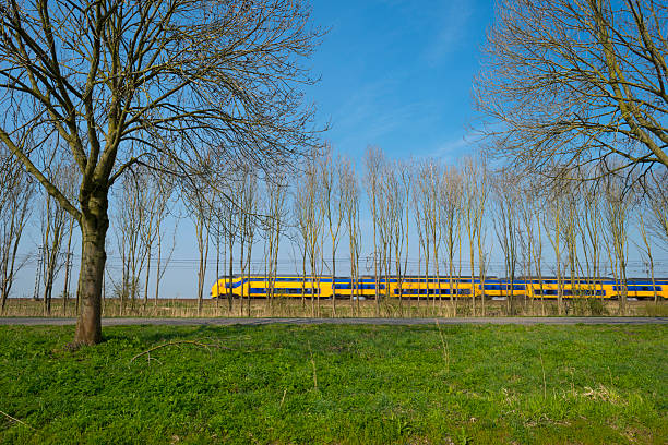 istock Train riding through the countryside in spring 484468107